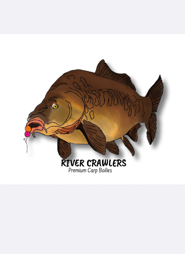 RC Carp Boilie Sticker 2 Pack